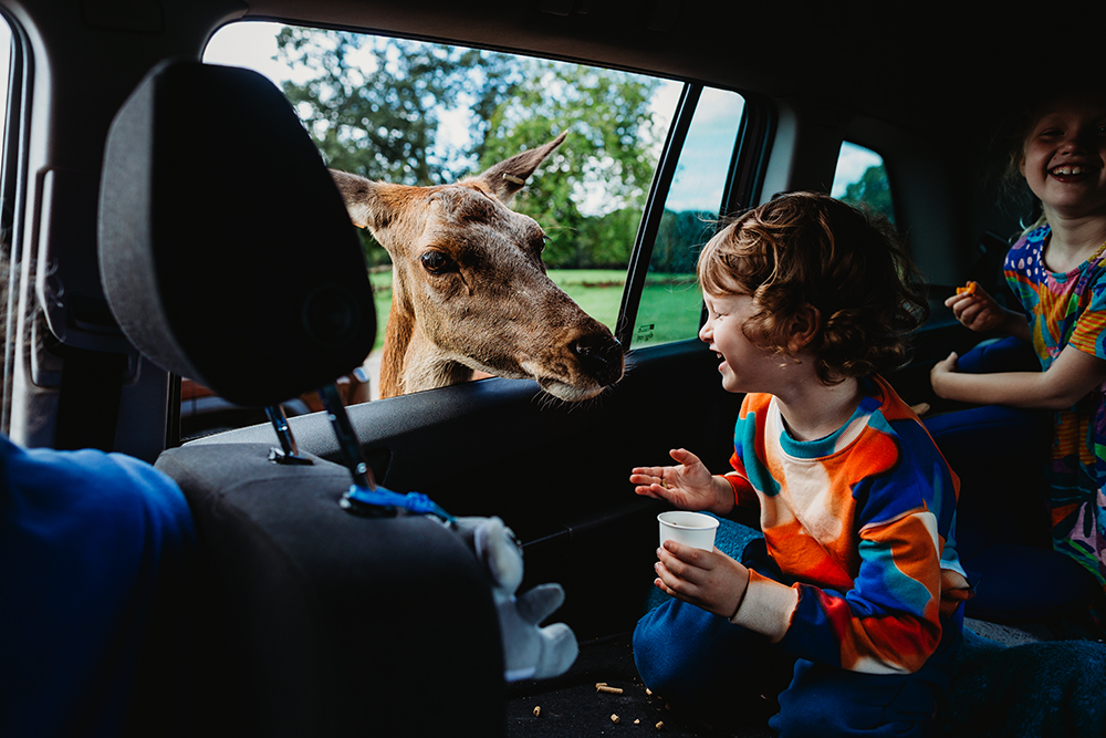 11 out of 52, Season 5