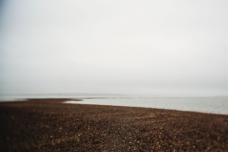 Coast to Coast Project: Song Of The Sea ~December | New Forest Photographer | Ann Owen Photography