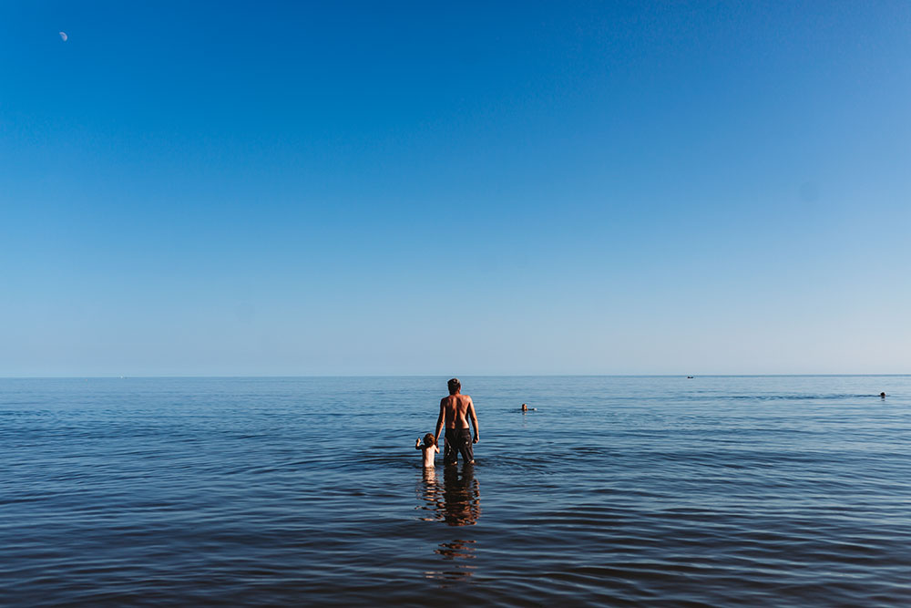 Coast to Coast Project ~July | New Forest Photographer | Ann Owen Photography