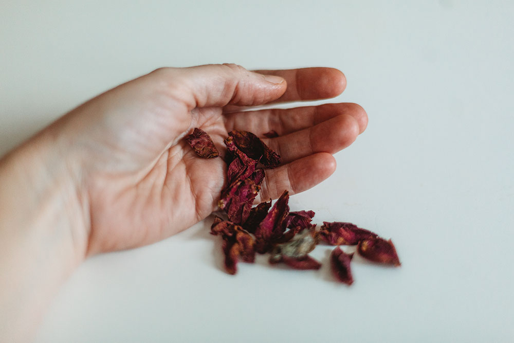 Discarded With Honour